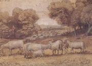 Claude Lorrain, Landscape with Sheep (mk17)